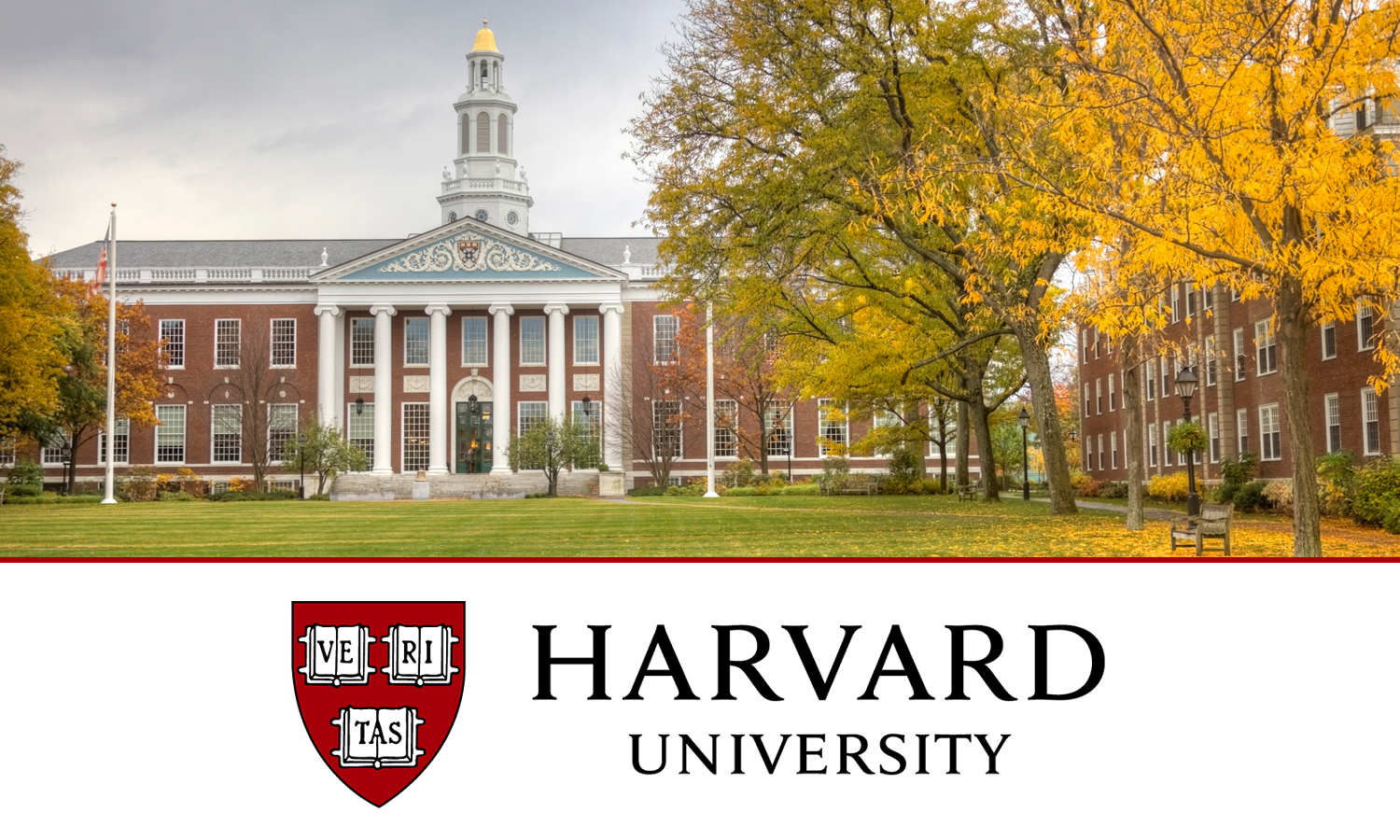 harvard